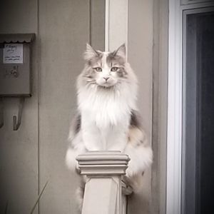 Meet your Posher, Patti